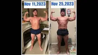Body scan update Nov 25 2025 down 1% body fat