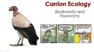 1 5 Biodiversity and Taxonomy