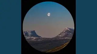 Sarek