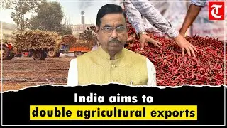 India aims to double agricultural exports, open new global markets for rice in 5 years