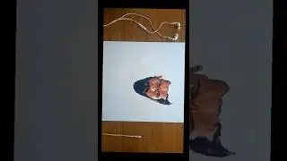 rolex suriya|rolex art| color pencil art|Vikram suriya