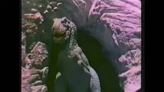 Ace Ventura: Rex Detective