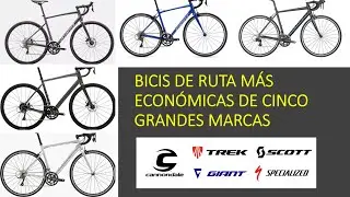 Cinco bicis de ruta económicas de marcas reconocidas