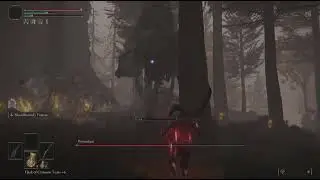 ELDEN RING - How to defeat Wormface