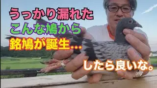 2025年8月16日