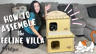 How To Assemble Petique's Feline Villa Cat House, NO TOOLS needed! | Scratch House For Cats
