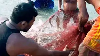 Amazing Group Fishing Video-Village Fishing Bd Show