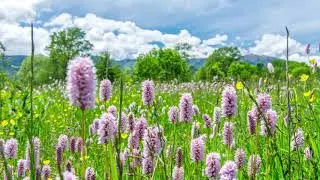 Inspiring Energetic Music with Live Instruments | For Happy and Cheerful Mood
