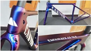 Custom Paint Canyon Endurace CF SLX Deep Purple Blue Chameleon