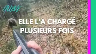 Une maman OURS attaque un CHASSEUR!