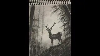 Full tutorial video drawing a reindeer in the forest with a pencil in an easy way