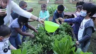 Gardens For Everyone - Growing a Hunger Free Community