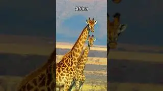 The seven continents - edit #geography #continents #nostalgia