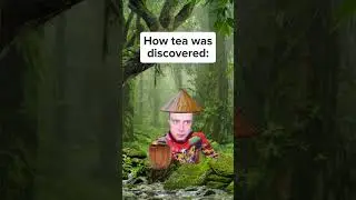 How tea was discovered #funny #memes