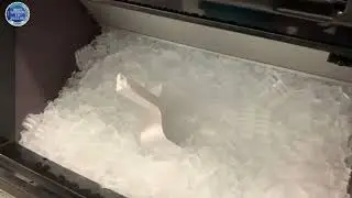 Fast & Reliable Ice Machine Repair | Crocket's Refrigeration & Air INC