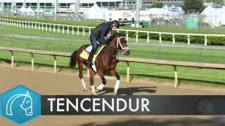 That Handicapping Show: Ohio Derby