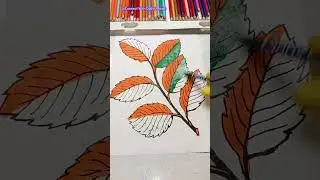 Amazing 🧡💚 Indian leaves trending sketch by using brush pens #creativity #art #drawing