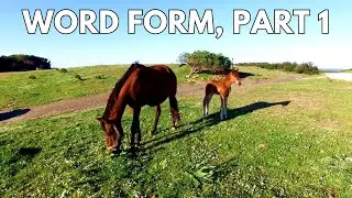 Intro to Word Form, Part 1. 5th grade math.