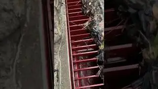 Steel Trench Drain