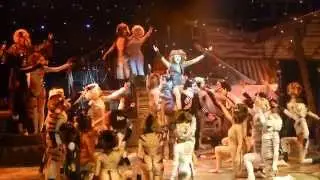 Skimbleshanks the Railway Cat from `Cats` the Musical performed by Harry Acton