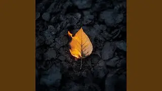 Life of a flame (feat. Pottel)