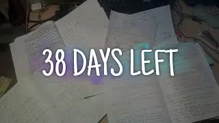 38 Days left for HS 🔥 #asseb #class12