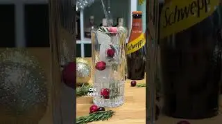 Festive Gin & Ginger Beer Recipe