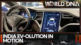 India's EV-olution: Tesla's mega-surge into India, bold plans for $24k electric car | WORLD DNA