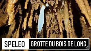 SP&Eacute;L&Eacute;O | GROTTE DU BOIS DE LONG - DES CONCR&Eacute;TIONS &Agrave; COUPER LE SOUFFLE