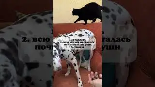 Я регулярно комплексно провожу профилактику средствами wb 323088002. Правда, с танцами и бубнами😅