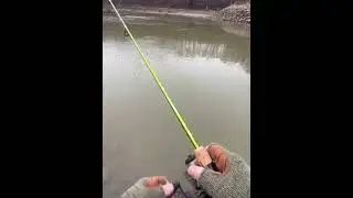 Creek crappie fishing and more!