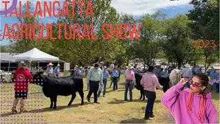 Tallangatta Agricultural Show  Tallangatta Victoria Australia March 2023 4K