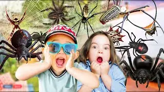 Catching Giant Golden Spider & Orb-Weaving Spiders and Wild Insects with My Kids in Around the House