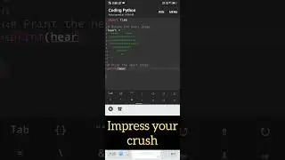 create heart with sorry using python 