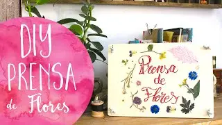 DIY Prensa flores SÚPER FÁCIL