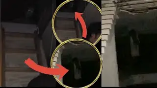 Этого просто не должно существовать - что засняли на видео.