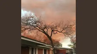 Die Ankunft und die Abreise