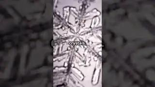 The Science of Why Snowflakes Are Unique #winter #nature #facts