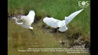 Flora & Fauna Encountered During  Field Observation