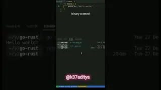 Go vs Rust🥀 #rust #go #golang #rusty #ai #python #ruby #memory #programming #coding #code @k37aditya