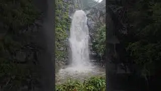 A must visit in your lifetime 💚🍃 #EcoWildGlampingBambarakanda #bambarakanda #waterfall