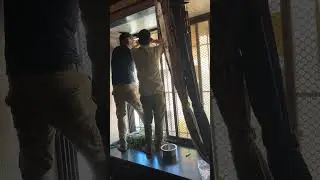 Mouchak Katchhe 🐝🐝#shortsfeed #shortvideo #shorts #bee #thane #mumbai #honey