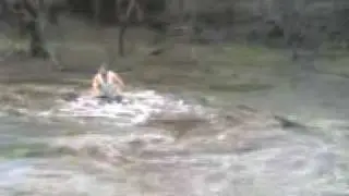 sunk honda.3gp