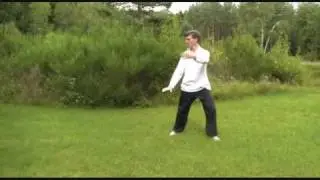 Tai Chi Chuan - Yang Stil Langform : Er&ouml;ffnung der Form ;  Vogel am Schwanz fassen