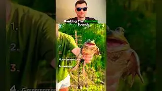 Top 5 Frog Sounds That Made Us Lose It!