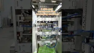 [6-Lane Shampoo Packing Machine] 4-Side-Seal | Triple-Linked Sachets | For Shampoo/Body Wash/Creams