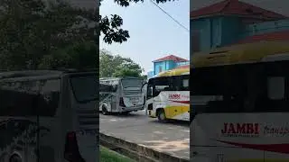 Bus medan dan jambi berbarengan #jambi #busmania #medan
