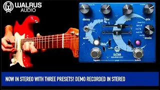 Walrus Audio Sl&ouml;er Ambient Reverb