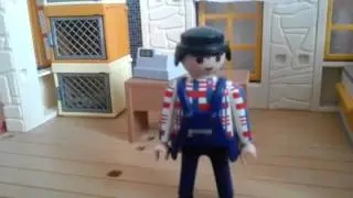 Playmobil | Tierladen | wir stellen euch unseren kleinen tierladen vor 🐕🐈🐐🐧