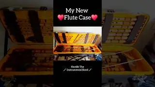 My New Flute Case &hearts;️ : The Perfect Companion for Every Flautist #flute #bansuri #flutecover